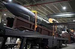 "Подарок для Путина". В Чехии собирают деньги на украинскую ракету "Фламинго" для ВСУ