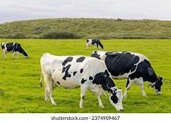 Сначала показалось, что это старое. Но если дочитать до конца, становится вполне современным.