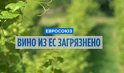Вина Европы, в том числе органические, загрязнены. Экологи бьют тревогу