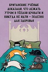 «А они очень хорошая пара и здорово смотрятся вместе» — подумал Петрович, глядя в декольте