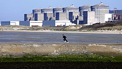 Медузы остановили работу АЭС во Франции