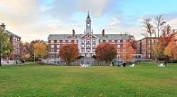 — М-и-ш-а! Вы-хо-ди! — Петрович, ты бы отошел от берлоги…