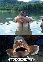 - Изя, уходить пораньше с работы - плохая примета. - Почему, Фима? - Вот Сёма ушёл и развёлся.