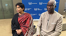 МУС отказался аннулировать ордер на арест Путина в случае амнистии по мирному договору Трампа