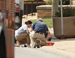 Нелегальный мигрант застрелен после того, как врезался в сотрудника иммиграционной и таможенной полиции (ICE)