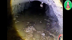 Польша обнаружила подземный ход на границе с Беларусью и выдворила четверых нелегалов