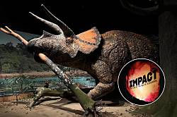 В Нью-Йорке открылась выставка, где можно потрогать настоящие артефакты эры динозавров