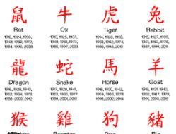 Китайский гороскоп на ноябрь 2025: что ждет каждый знак восточного календаря