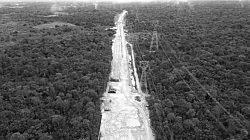 Бразилия вырубает 8 миль тропических лесов Амазонки, чтобы проложить дорогу к климатическому саммиту COP