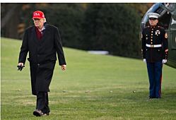 В Европе раскрыли плохой и очень плохой варианты из-за Трампа и Украины