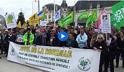 Французские родители требуют запрета пестицидов после случаев рака у детей