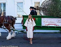 Мелания Трамп приняла в Белом доме главную рождественскую елку