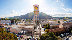 Netflix покупает одну из старейших студий Голивуда Warner Bros за $72 миллиарда