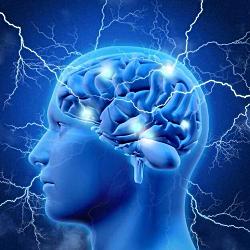 Возраст и Мозг 