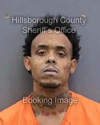  Мужчина врезался в бар во Флориде: 4 погибших, 11 пострадавших