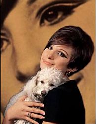 24 апреля 1942 года в Бруклине, в еврейской семье родилась Барбра Стрейзанд - самая некрасивая красавица, певица и актриса, также достигшая успеха как композитор и режиссер. 