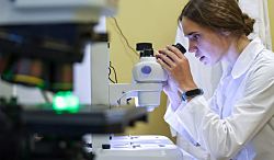 Российским ученым запретили работать с иностранцами без контроля ФСБ