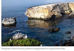 На тихоокеанском побережье США создан новый морской заповедник