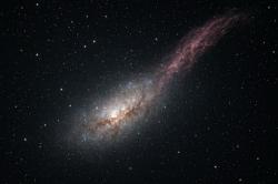 Через тернии к звездам 