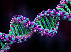 Заново создавая человека?