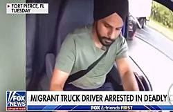 Более 2 млн человек подписали петицию в поддержку водителя грузовика-мигранта, убившего   троих