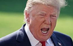 Трамп допускает удары США по наркокартелям в Мексике