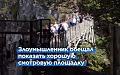 Германия: американец столкнул двух туристок в 50-метровое ущелье в Нойшванштайне