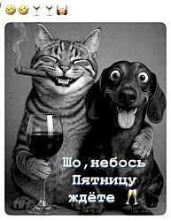 — Ты жив?! Ты что, не ел мои котлеты?