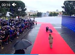 Премьер Албании встал на колени перед Мелони. «Эди, остановись!»