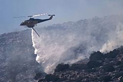 Европа охвачена жарой и лесными пожарами: в ряде стран +40°C