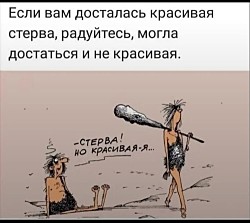 Это был обычный солнечный день, ничего не предвещало беды. И тут жена спросила: — Я не толстая?