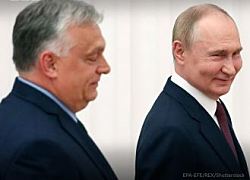 Путин и Орбан начали переговоры в Москве