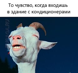Говорят, что девушки любят ушами... - Что? - Ушами, говорю, любят. - Что? - Иди домой, фригидная!