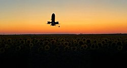 Зенитные дроны из Украины могут быть одним из решений для печальной ситуации в США с защитой от БПЛА