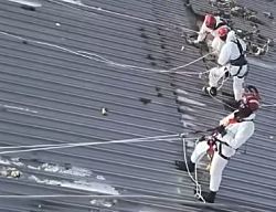 МАГАТЭ: защитный экран Чернобыльской АЭС больше не блокирует радиацию