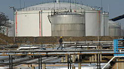 Знаете, 99.9% американцев никогда не пробовали смородину.